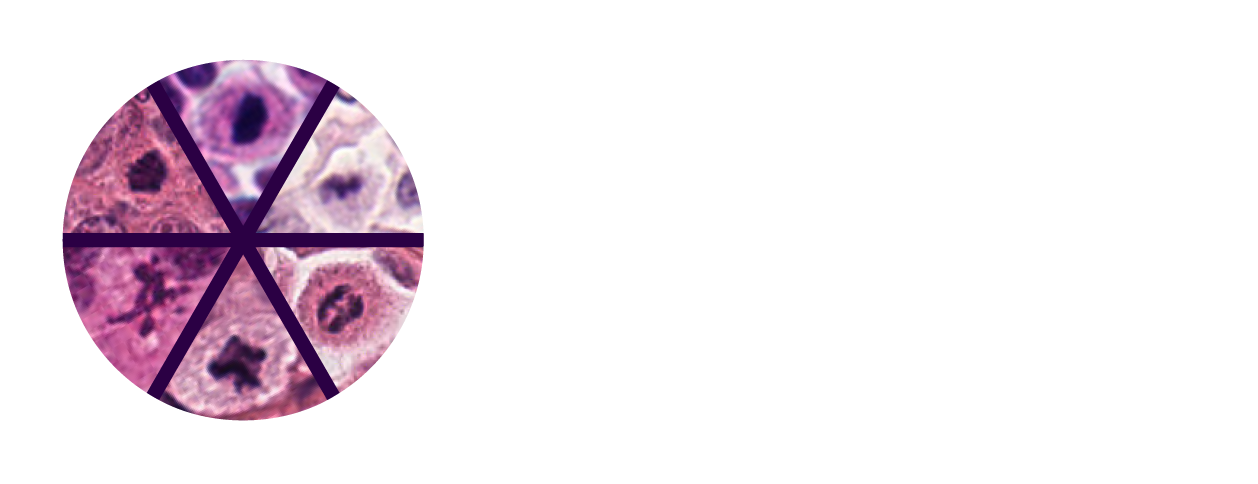 MIDOG 2025